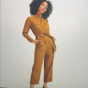 Everlane Modern Utility Jumpsuit in Brass